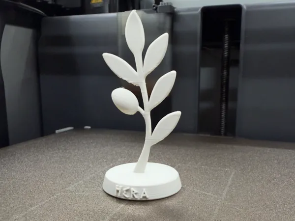 https://makerworld.bblmw.com/makerworld/model/USf066869732bb74/design/2025-08-28_4403e0c838c79.jpg