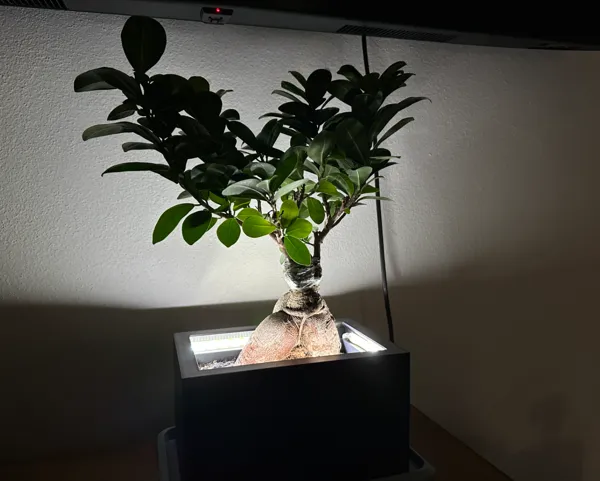 https://makerworld.bblmw.com/makerworld/model/USf06cb0d858c718/design/2024-10-11_14d00e9cd1e9f.jpg