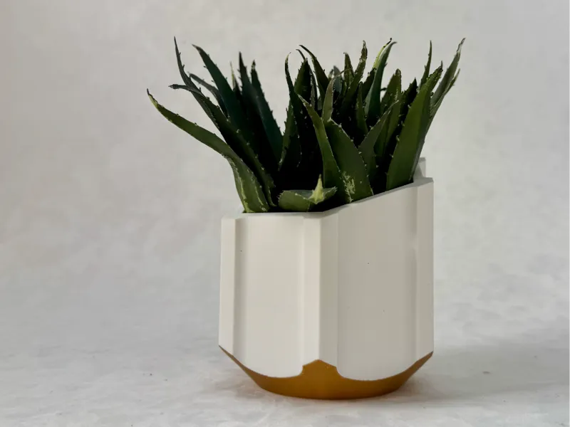 Modern Planter