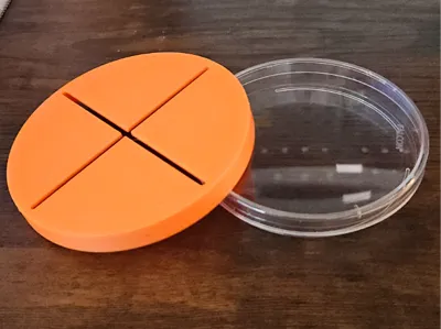 100mm Petri Dish Quadrant Stencil 