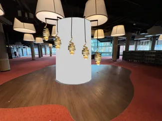 rugsteun