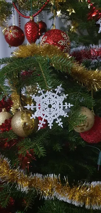 Snowflake