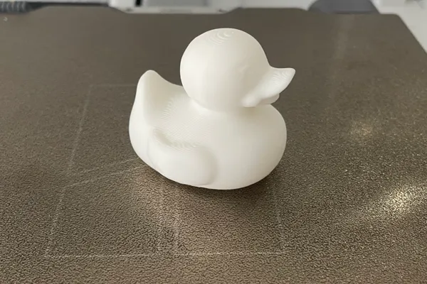 https://makerworld.bblmw.com/makerworld/model/USf077e2ab8e78a0/design/2024-09-27_6fe4315fbf0e08.jpg