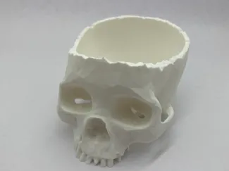 Skull Planter with drainage 