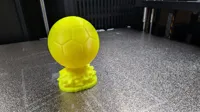 Ballon de football doré — photo 2