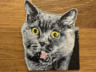 Britisch Kurzhaar Katze HueForge