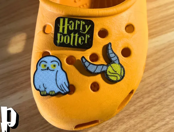 https://makerworld.bblmw.com/makerworld/model/USf090276dcdedf5/design/2024-07-19_dce5c3ff0923e8.png