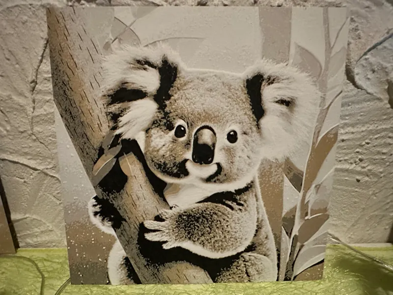 HueForge - Cute Koala Bear