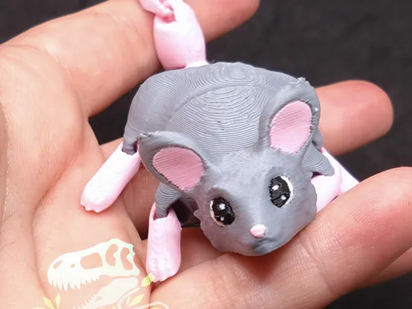 https://makerworld.bblmw.com/makerworld/model/USf094d49a29d85/design/2025-06-14_39649f1abf6768.jpg