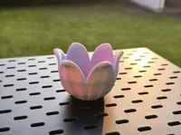 0.2mm layer, 3 walls, 5% infill