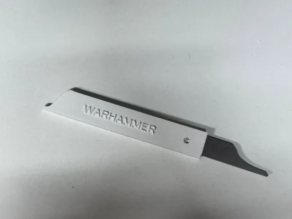 https://makerworld.bblmw.com/makerworld/model/USf0a56a7b7412ba/design/69f7efd68560499a.jpeg