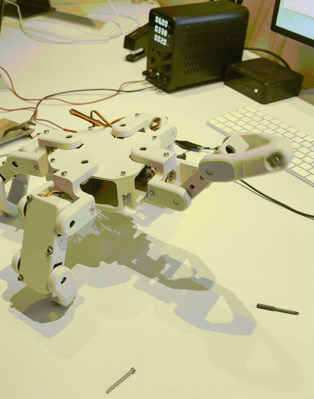 QuadroBot // Robot "Spider"