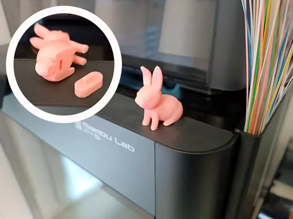 https://makerworld.bblmw.com/makerworld/model/USf0afe2614d8101/design/2024-03-17_01226e8f22447.png