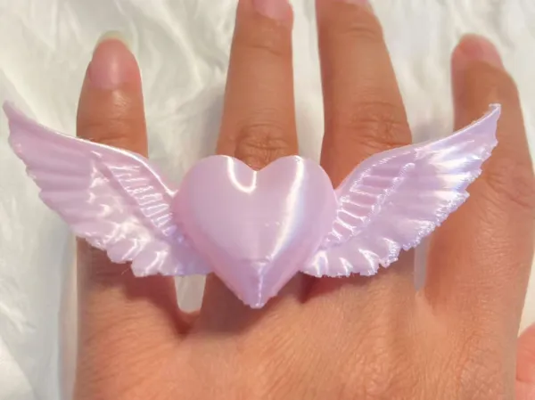 https://makerworld.bblmw.com/makerworld/model/USf0b552595c30a1/design/2025-08-06_2f4b7f06d0b5a.jpg