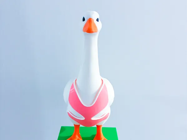 https://makerworld.bblmw.com/makerworld/model/USf0b6bea018eaed/design/3514fa69e604500b.jpg