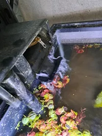 Réducteur de débit pour filtre Aquaclear (aquarium 5mm) — photo 3