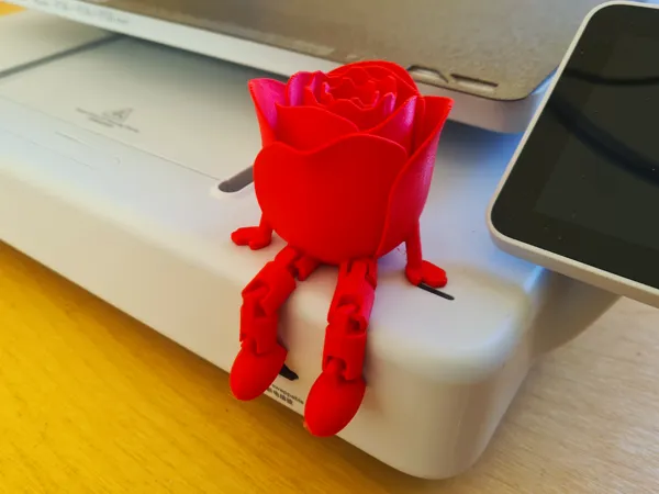 https://makerworld.bblmw.com/makerworld/model/USf0bdae7108d444/design/2025-01-19_842b092d1dba6.png