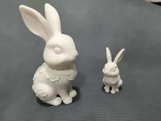 广寒宫的兔子