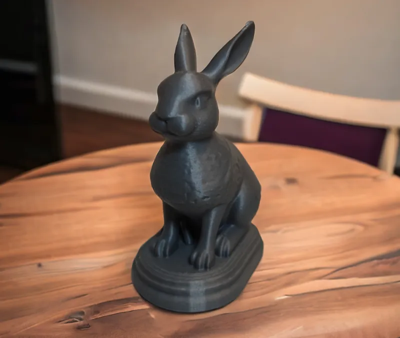 Rabbit posing