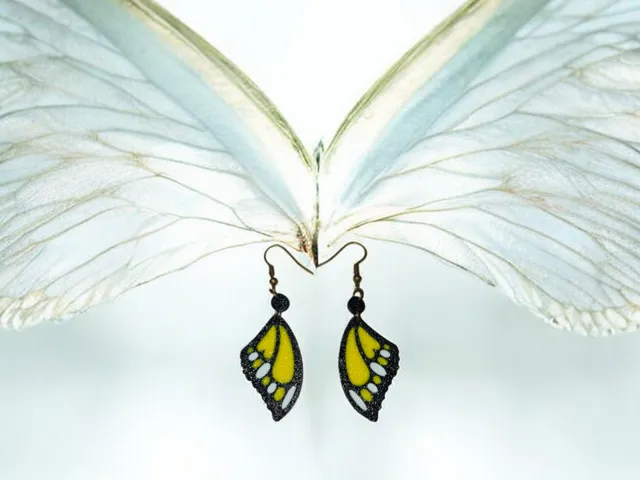 Butterfly wings earrings