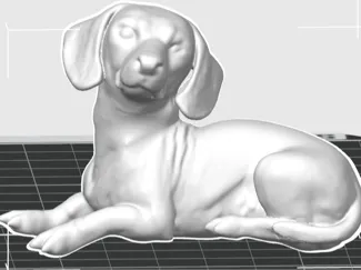 Miniature Dachshund