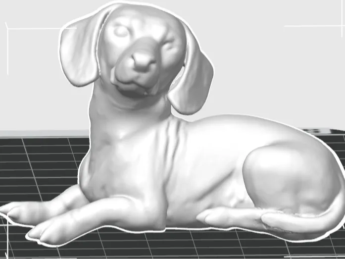 Miniature Dachshund