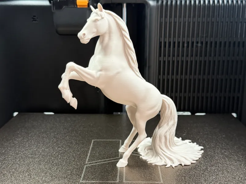 Majestic Rearing Horse