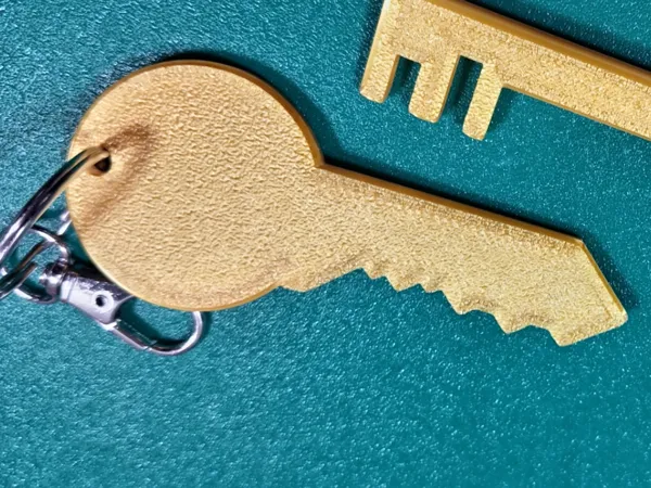 https://makerworld.bblmw.com/makerworld/model/USf0d230b8e624f7/design/2025-11-16_94fb4fd219cce.jpg