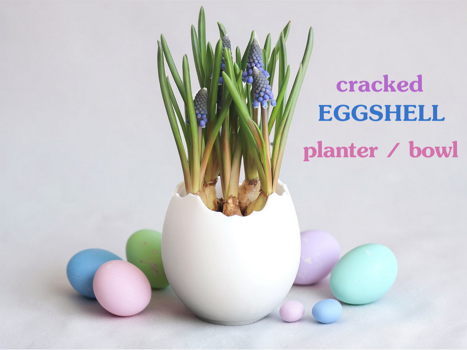Cracked Eggshell Planter / Bowl