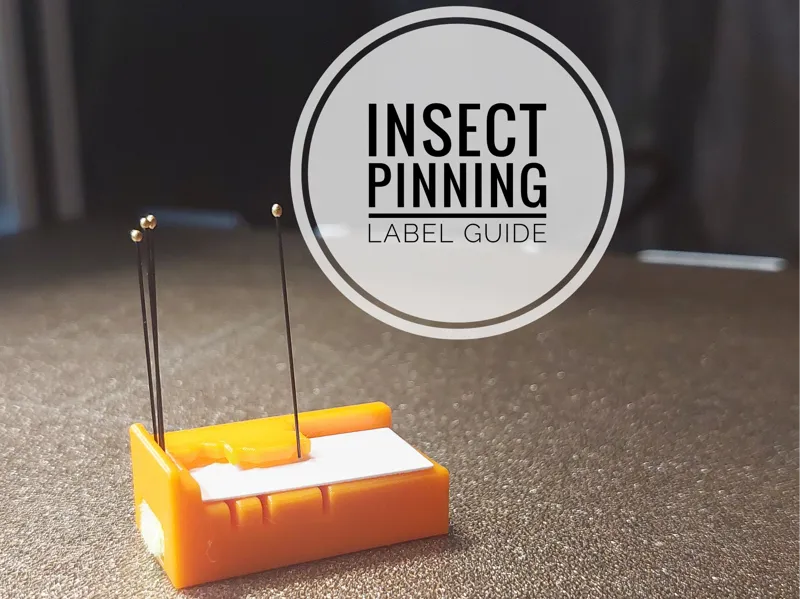 Insect Pinning Label Guide