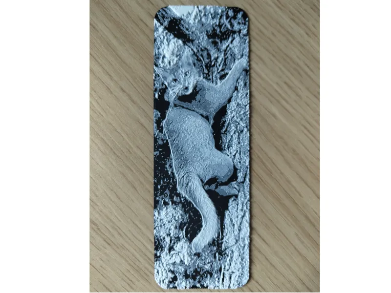 Sorrel Abyssinian cat bookmark