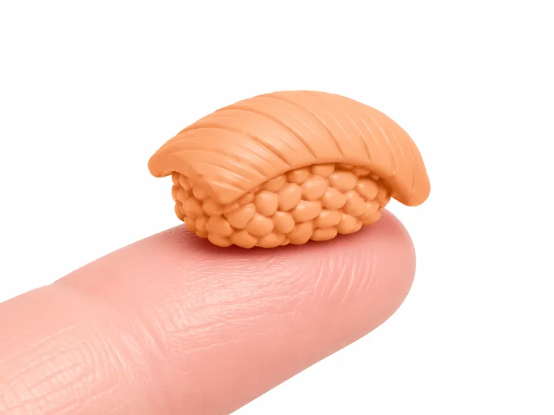 Mini Food Icon Series - #33 Sushi Nigiri