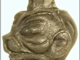 Pazuzu head