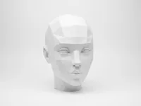 0.2mm layer, 2 walls, 5% infill