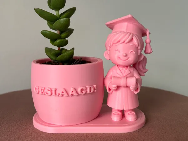 https://makerworld.bblmw.com/makerworld/model/USf0f04360ae3f51/design/0043a0e506cd3a0a.jpeg