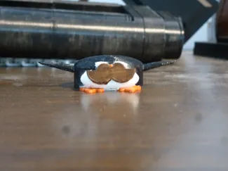 Mustachioed Penguin
