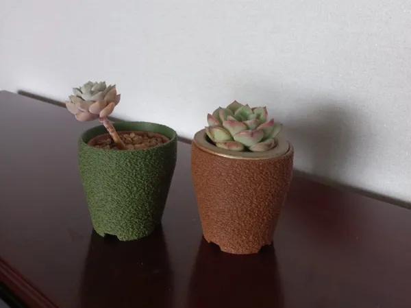 https://makerworld.bblmw.com/makerworld/model/USf0f474dbb1abd/design/2025-03-15_0add80268129b.jpeg