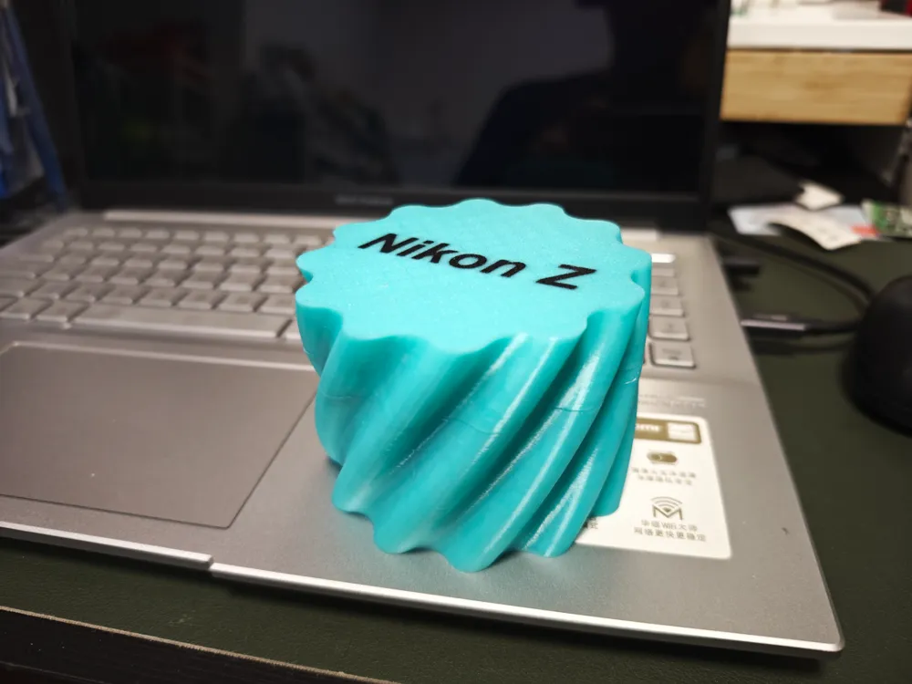 nikon-bettery-and-memery-card-case-by-neil-makerworld