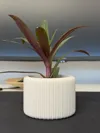 no holes on bottom, adaptive layers, 2 walls, 8% infill
