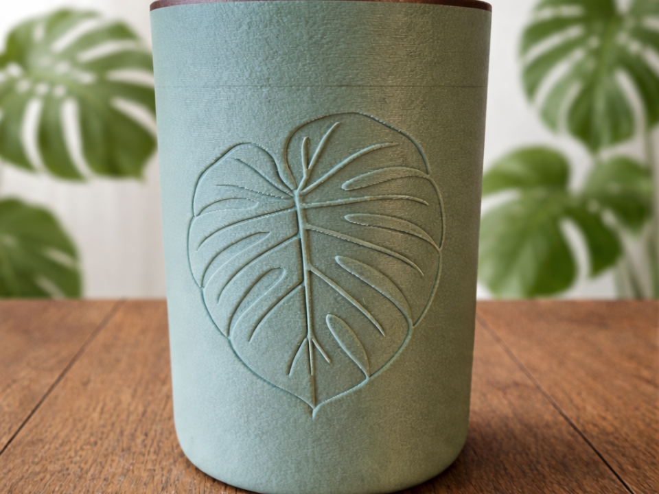 Monstera Becher ohne Sichtfenster