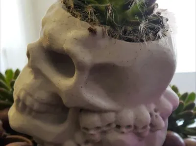 Skull Pot