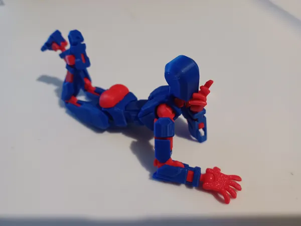 https://makerworld.bblmw.com/makerworld/model/USf10cef90b406b8/design/2024-12-30_c83e3ab2a4e19.jpg