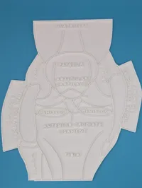 Panneau éducatif à colorier - Anatomie du genou et du ménisque — photo 2