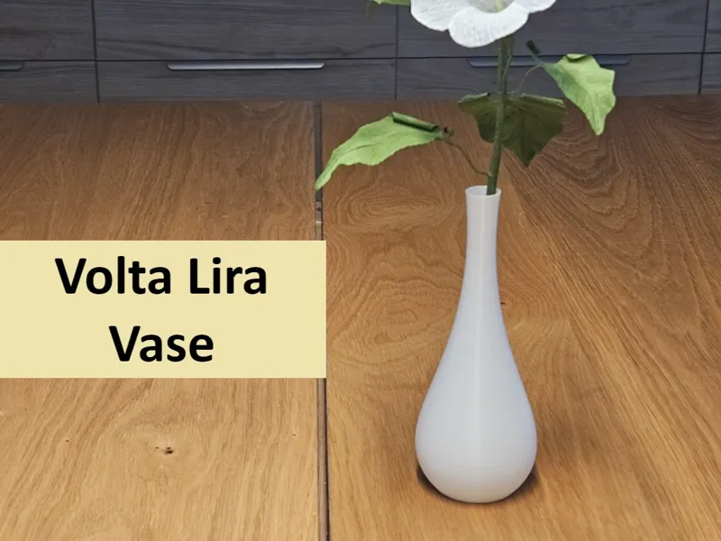 Volta Lira – Elegant Slim Neck Vase Mode