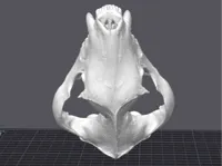 0.12mm layer, 2 walls, 15% infill
