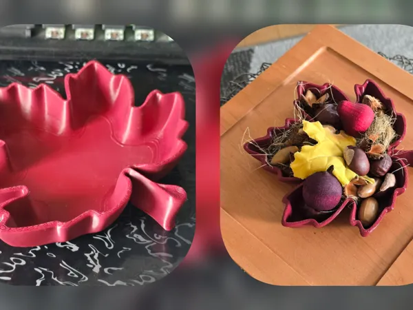 https://makerworld.bblmw.com/makerworld/model/USf11953e93aa554/design/2025-09-28_7b0d6d54cfd648.jpg