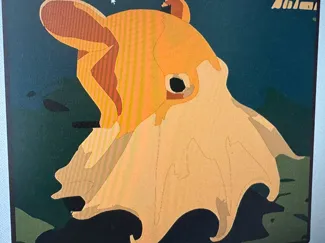 八爪魚 octopus 