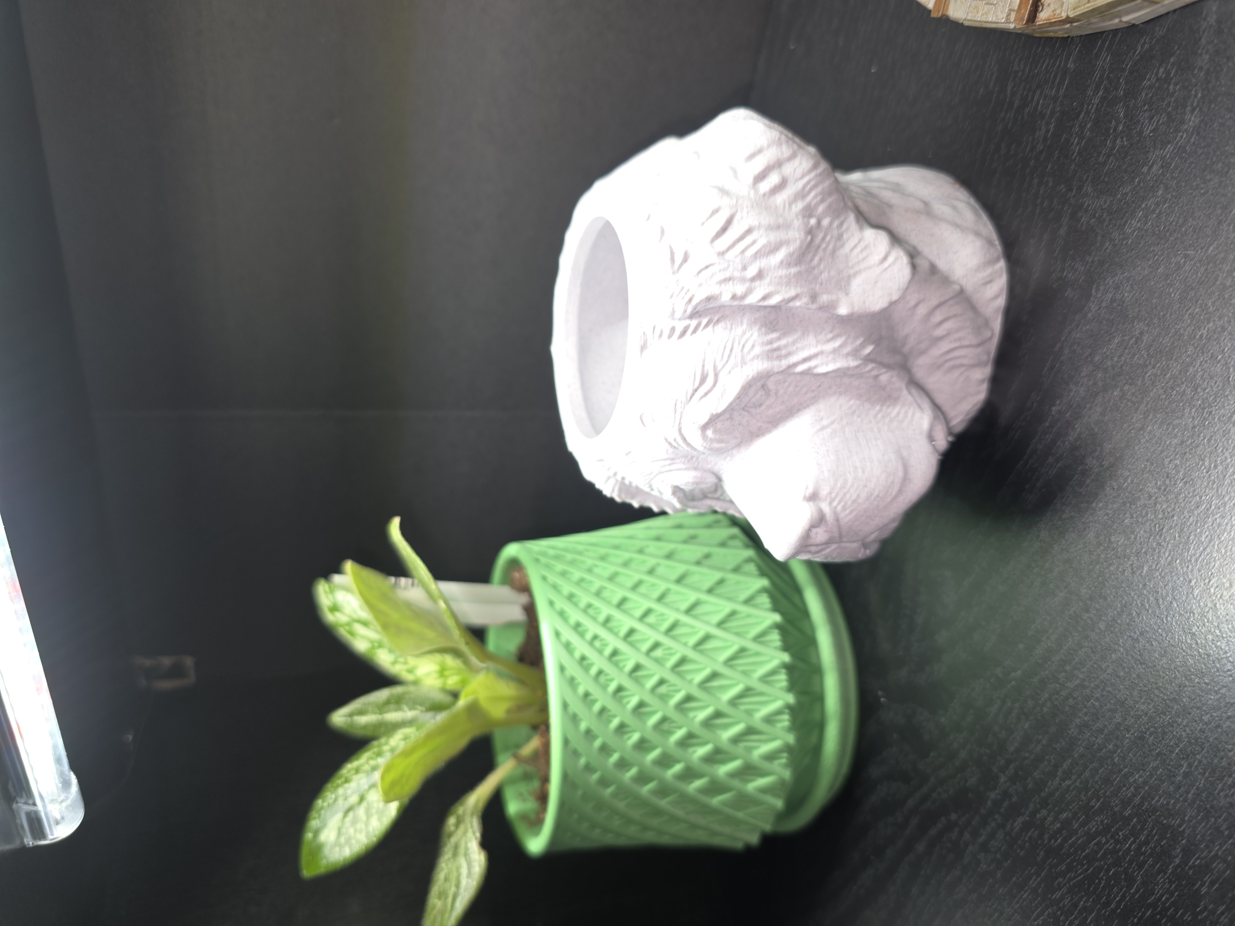 Miniatura 2 do modelo 3D Saint Bernard Planter