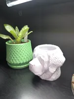Pencil Holder version with no holes