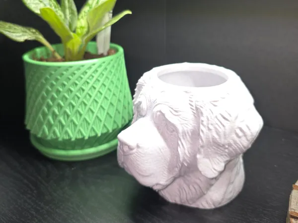 https://makerworld.bblmw.com/makerworld/model/USf11b26bb2e61d7/design/2026-01-08_1013f8be2145e8.jpg